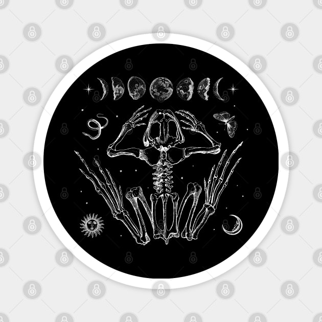 Goblincore Aesthetic: A Vintage Blend of Frog Skeletons, Moth Moon Phases, Sun Stars - Dark Academia's Goth Grunge Magnet by Ministry Of Frogs